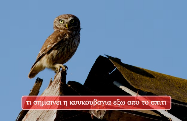 τι σημαινει η κουκουβαγια εξω απο το σπιτι